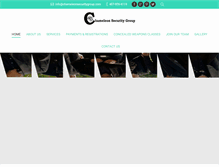 Tablet Screenshot of chameleonsecuritygroup.com